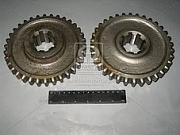  1 ,     36-1701112