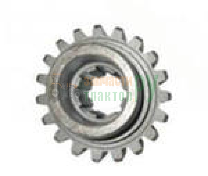       40-1701324 z=19