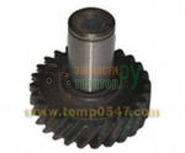    65-1022041- | .
